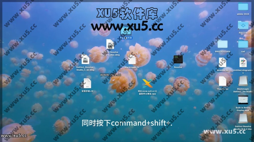 达芬奇18.6 for MAC 图文安装教程