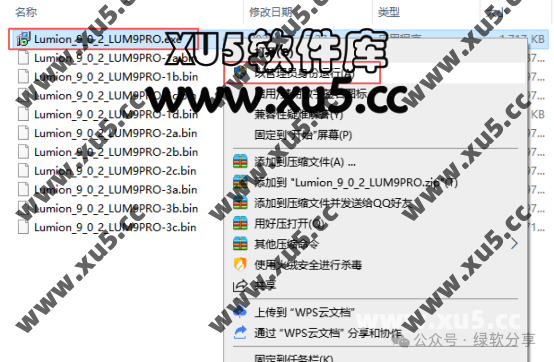 Lumion V9.0.2 下载选项界面