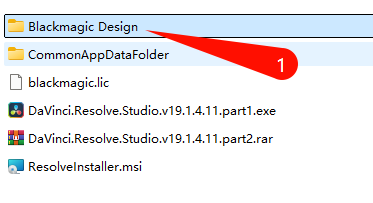DaVinci Resolve v19.1.4.11 媒体导入截图