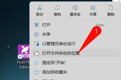 福昕高级PDF编辑器企业版安装选项界面
