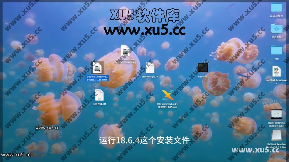 达芬奇18.6 for MAC 图文安装教程