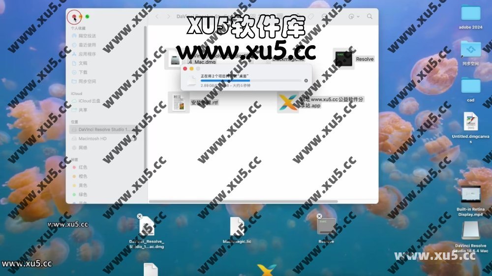 达芬奇18.6 for MAC 图文安装教程