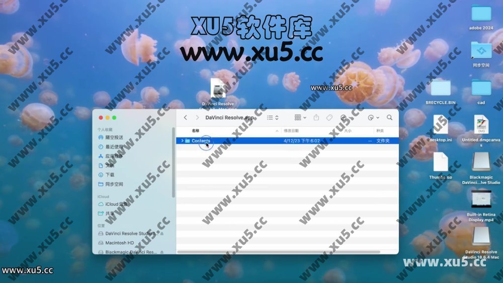 达芬奇18.6 for MAC 图文安装教程